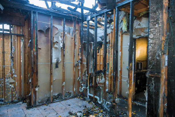 Professional Fire Damage Removal technician working in Sebastian, FL